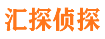 轮台市调查公司